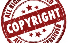 دليل حماية حقوق الملكية الفكرية